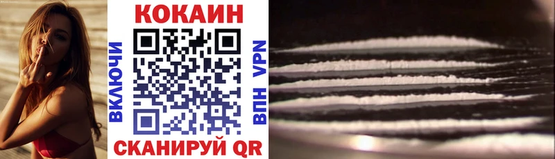 Купить закладки  Дагестанские Огни  Cocaine Fish Scale 