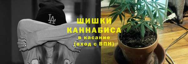 крисы Зерноград